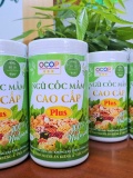 Ngũ cốc mầm cao cấp Plus 9